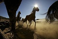 Heathens and Thieves - Das Glück ist mit dem Bösen [DVD], 7