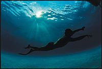 Ocean Men - Kampf in der Tiefe - IMAX [Blu-ray], 1