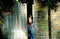 Tom's geheimer Garten - Als die Uhr 13 schlug [DVD], 5