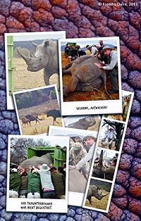 Ein Idiot reist weiter, 4