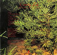 Roxy Music [Vinyl], 1