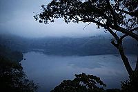 Chimpanzés [DVD], 4