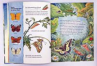 Der kleine Marienkäfer und die Tiere auf der Wiese, 3