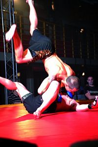 Ultimate Fighters Collection [DVD], 2