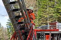 Tiere bis unters Dach - Staffel 1 [DVD], 5