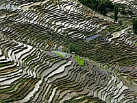 Watermark - Wie wir das Wasser verändern und wie das Wasser uns verändert [DVD], 4