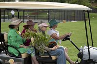 Dancing Queens [DVD], 4