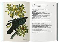 Singt der Vogel, ruft er oder schlägt er?, 3