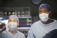 Grey's Anatomy - Staffel 8 [DVD], 4