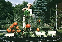 Ein Schweizer Namens Nötzli - Der doppelte Nötzli [DVD], 2