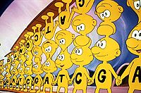 Es war einmal... Das Leben [DVD], 4