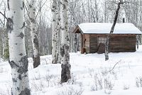 Light of my Life [DVD], 3