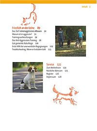 Zufrieden an der Leine, 5