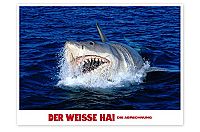 Der weisse Hai - Die Abrechnung [Blu-ray], 2