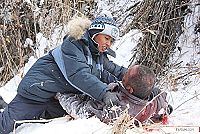 Unter Bestien - Der alte Mann und die Wölfe [DVD], 1