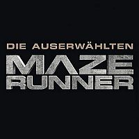 Die Auserwählten - In der Brandwüste, 2