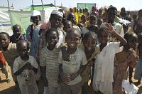 Sand und Tränen [DVD], 2