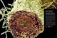 Die Welt von innen , 5