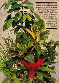 Mehr Freude mit Blumen und Pflanzen, 1