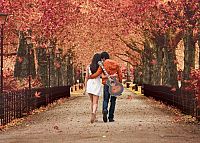 Solang ich lebe - Jab Tak Hai Jaan [Blu-ray], 5