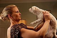 Bräutigam zum Abhaken [DVD], 1