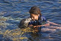 SOS - Ein spannender Sommer [DVD], 3