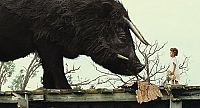 Beasts of the Southern Wild [Blu-ray], 4