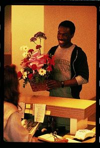 Beverly Hills Cop 1-3 [DVD], 3