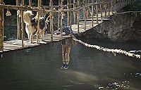 Kleine Helden, grosse Wildnis 2 - Abenteuer Serengeti [DVD], 6