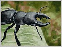 Art Academy - Zeichen und Maltechniken [Nintendo DS], 2