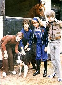 Fünf Freunde [DVD], 1