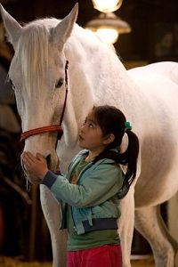 Wo ist Winkys Pferd? [DVD], 9