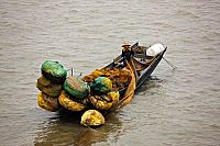 Planet Ocean [Blu-ray], 2