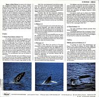 Le Chant Des Baleines [Vinyl], 1
