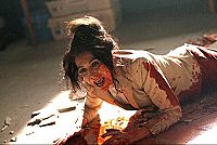 Cabin Fever 1-3 [DVD], 4