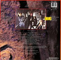 Diamond Sun [Vinyl], 1