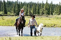 Heartland - Paradies für Pferde - Staffel 2.2 [DVD], 4