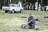 The Pack - Die Meute [DVD], 1