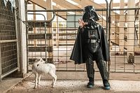 Little Monsters [DVD], 3