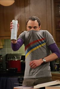 The Big Bang Theory - Staffel 1 [DVD], 9