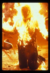 Howling 1-6 [DVD], 8