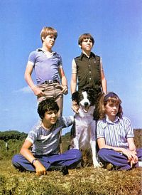 Enid Blyton - Fünf Freunde Box 1, Folgen 01-13 [DVD], 3