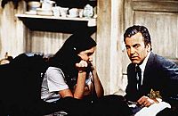 Das Tagebuch der Anne Frank [DVD], 2