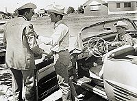 Le plus sauvage d'entre tous [DVD], 4