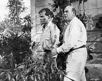 Hölle des Dschungels [DVD], 5