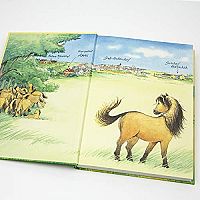 Ponyherz - Anni rettet das Fohlen, 1