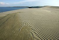 Wildes Europa - Geo Edition [DVD], 9