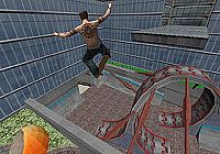 Evolution Skateboarding [Sony PlayStation 2], 1