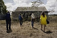 Charlie's Farm [DVD], 4