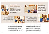 Macho oder Mimose, 9